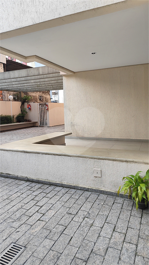 Foto REO1092532