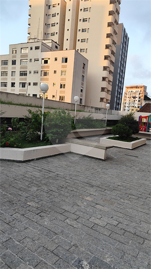 Foto REO1092532