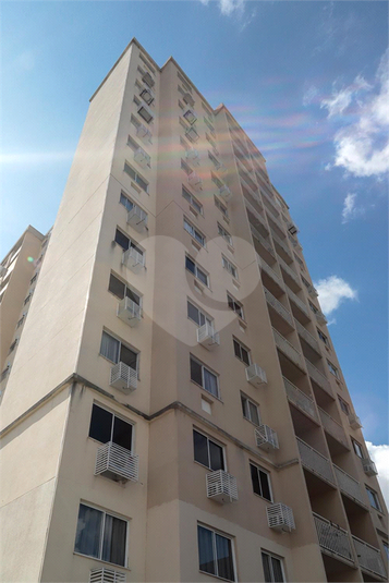 Foto REO1092641