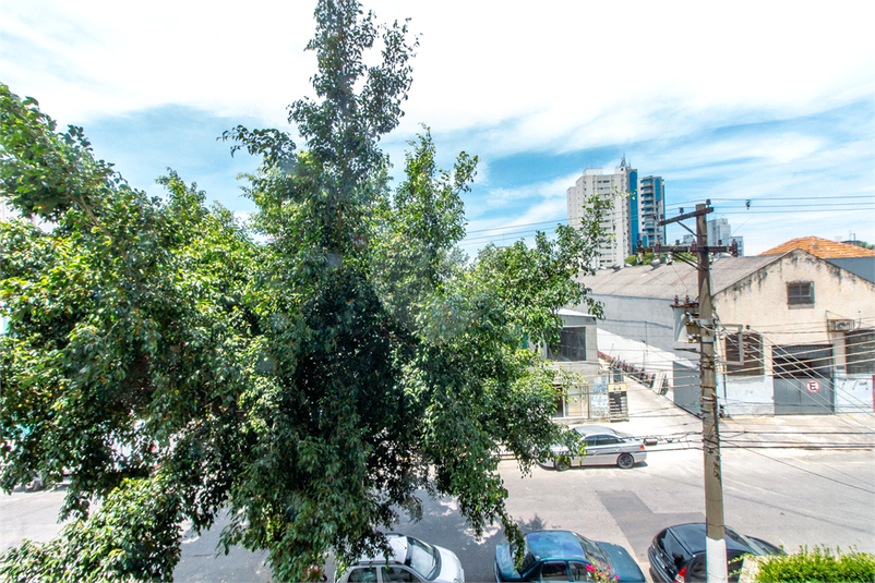 Foto REO1092665