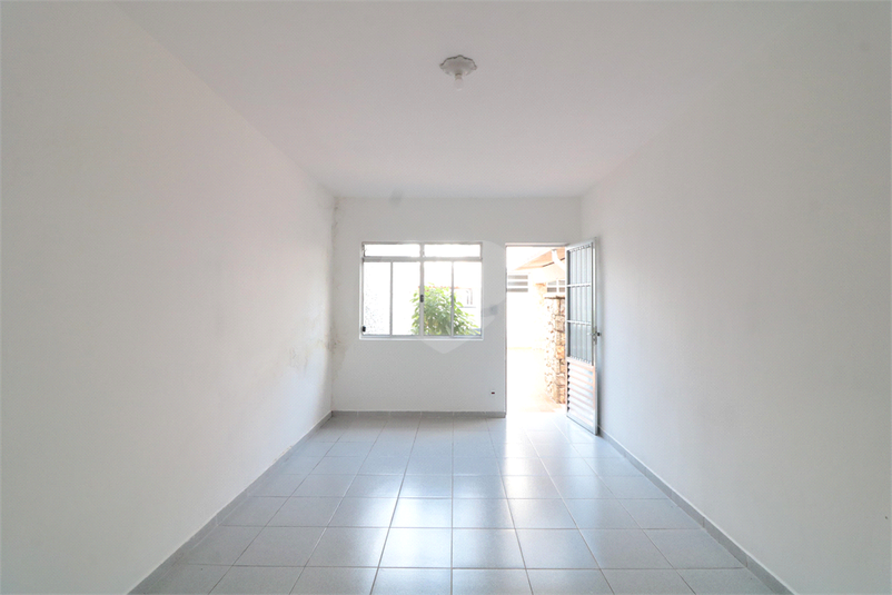 Foto REO1092666