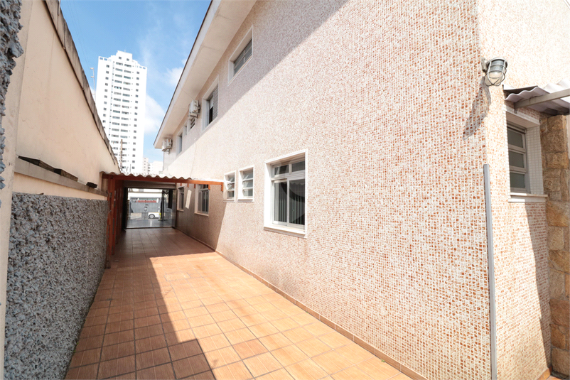 Foto REO1092666
