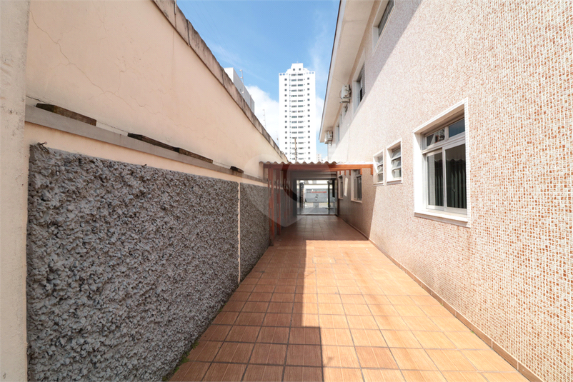 Foto REO1092666