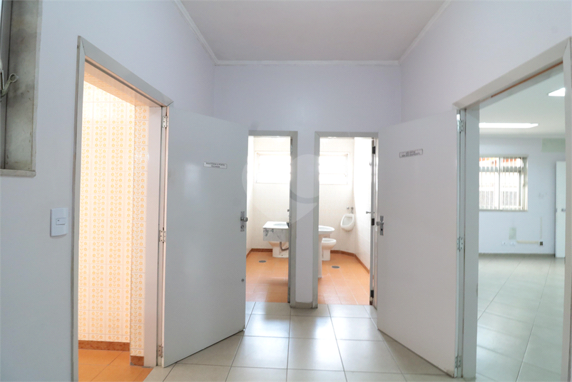 Foto REO1092666