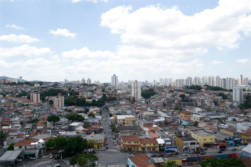 Foto REO1092676