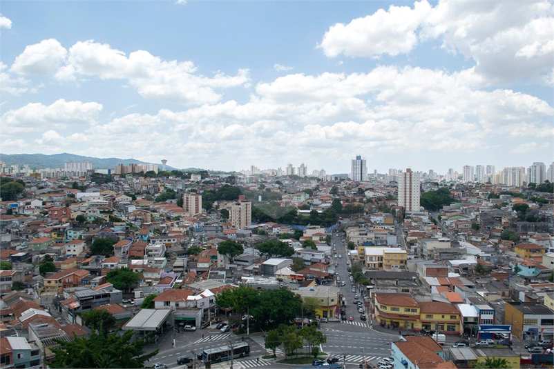 Foto REO1092676