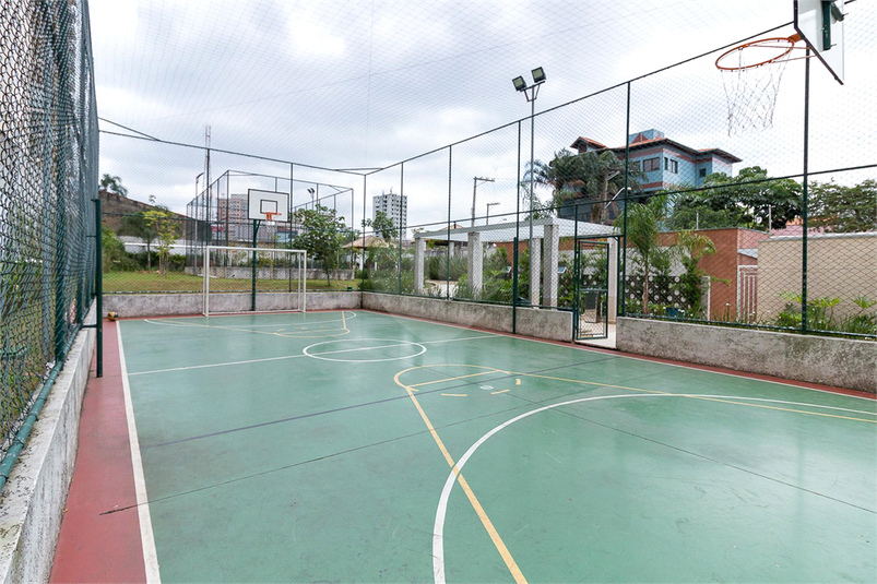 Foto REO1092687