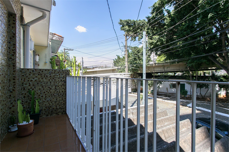 Foto REO1092749