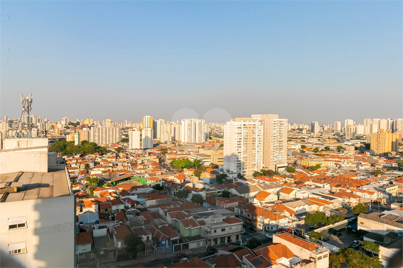 Foto REO1092807