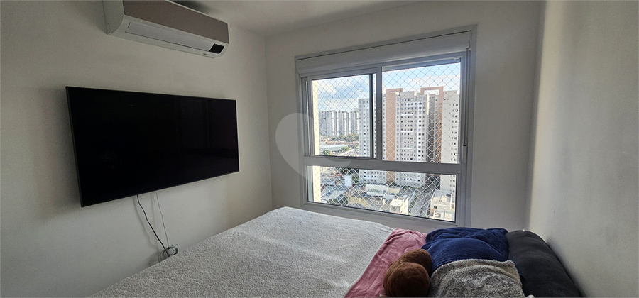 Foto REO1093232