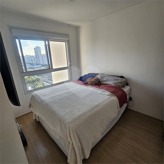 Foto REO1093232