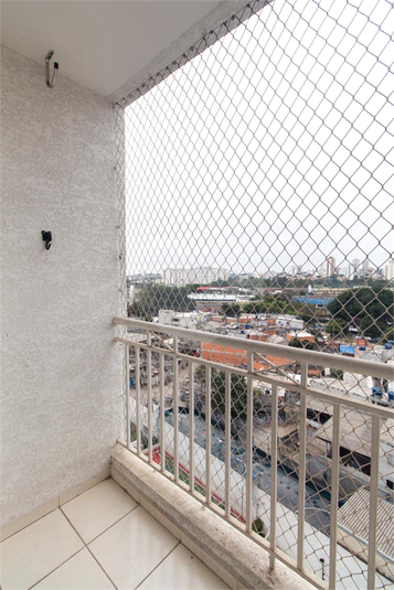 Foto REO1093346