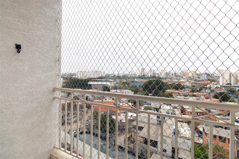 Foto REO1093346