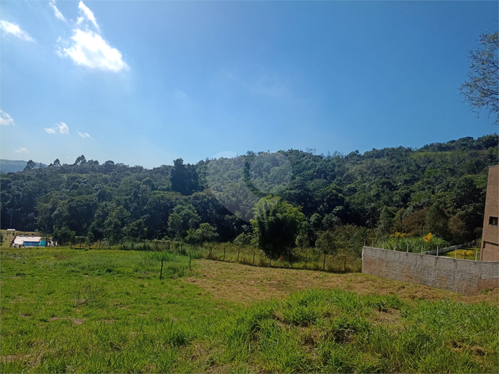 Foto REO1093586