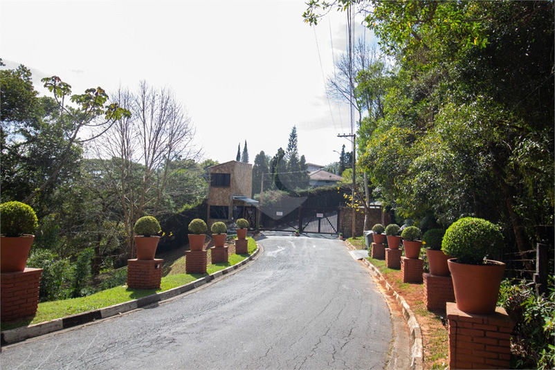 Foto REO1093586