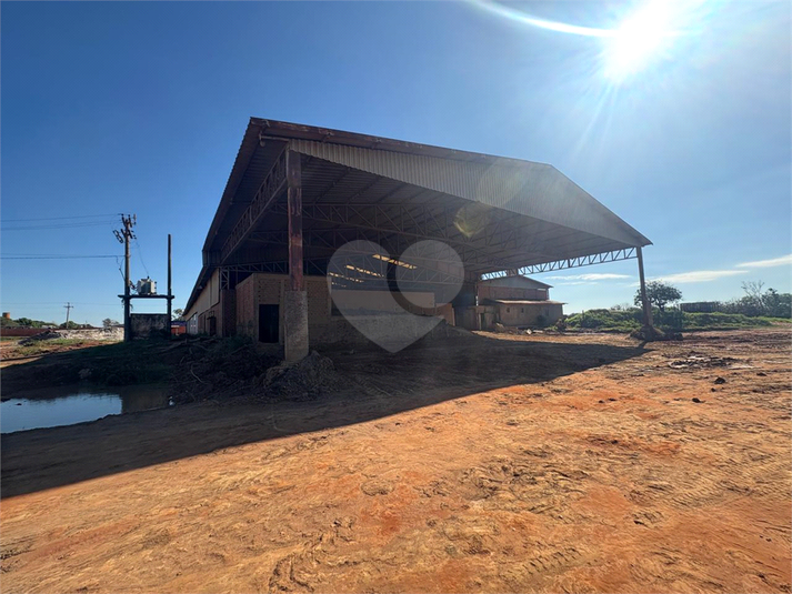 Foto REO1093590