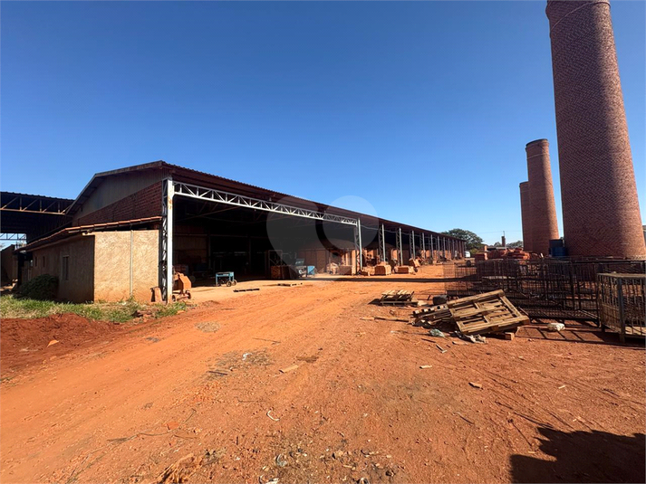 Foto REO1093590