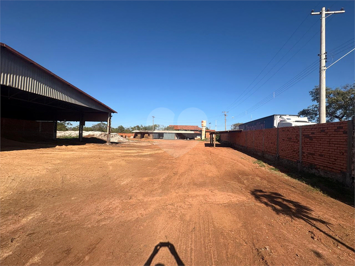 Foto REO1093590