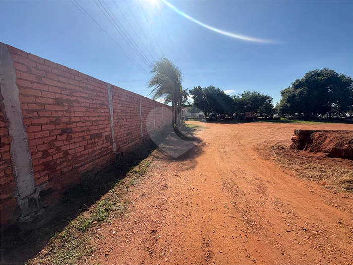Foto REO1093590