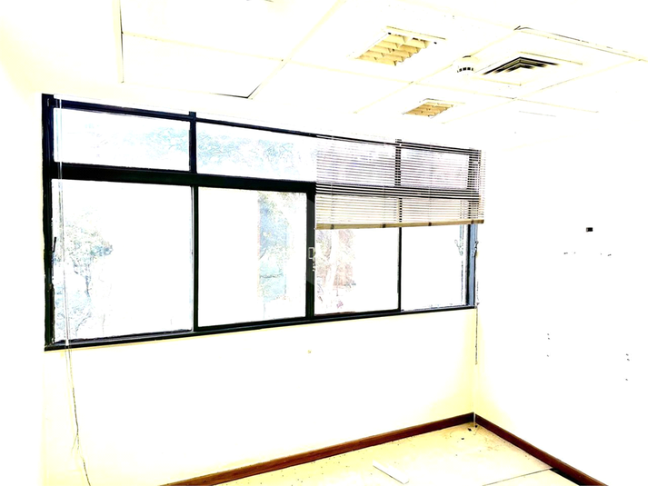 Foto REO1093595