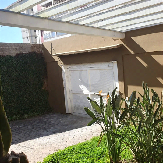 Foto REO1093607
