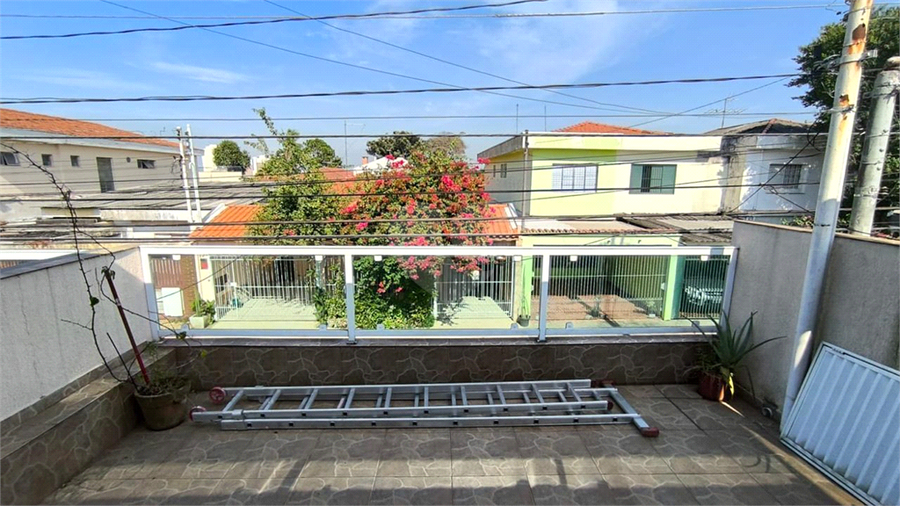 Foto REO1093616