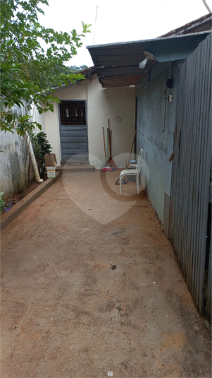 Foto REO1093626