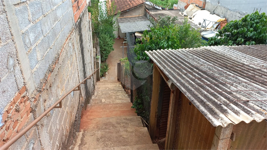 Foto REO1093626