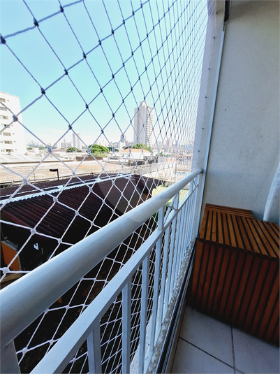 Foto REO1093628