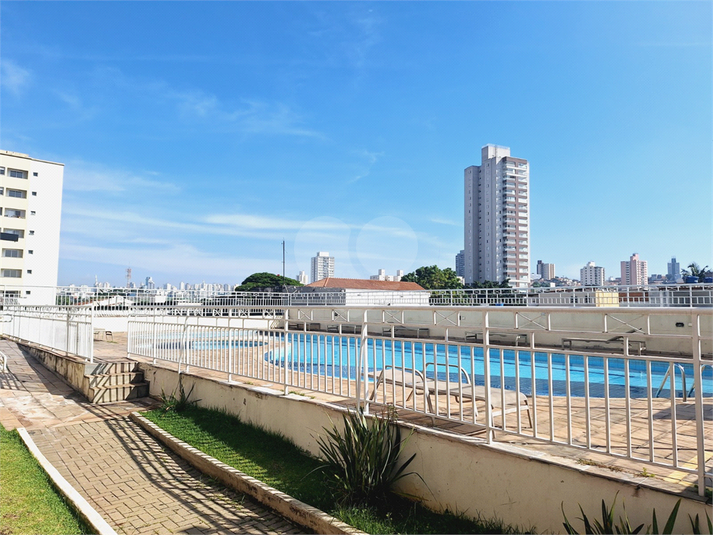 Foto REO1093628