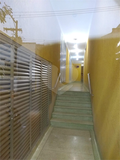 Foto REO1093629