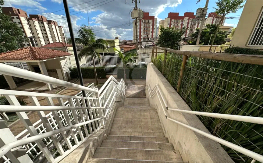 Foto REO1093651