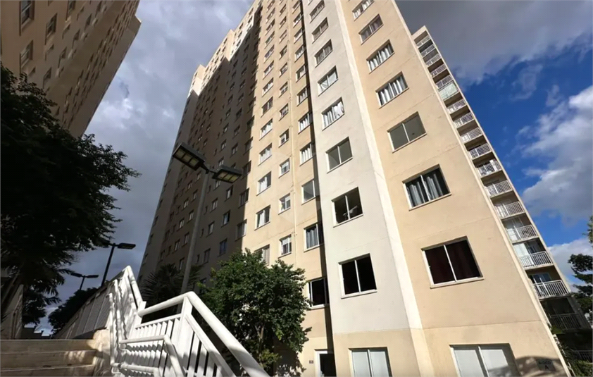 Foto REO1093651