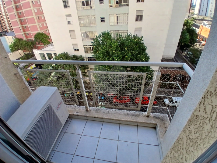 Foto REO1093652