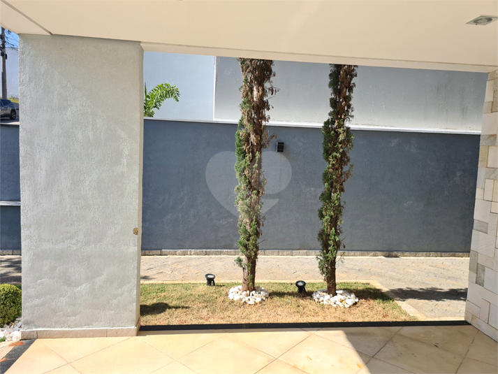 Foto REO1093659