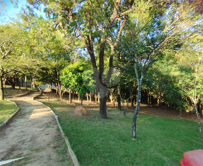 Foto REO1093666