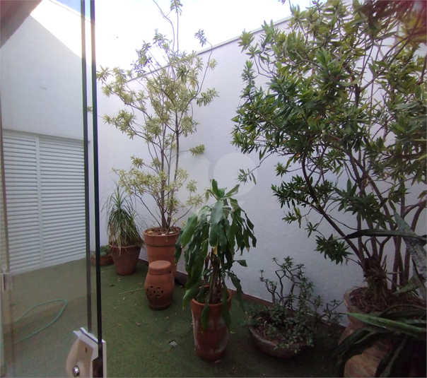 Foto REO1093666