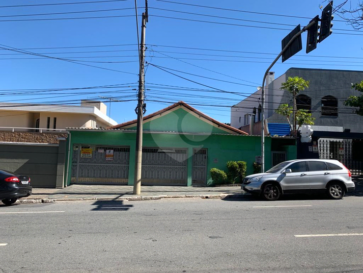 Foto REO1093671