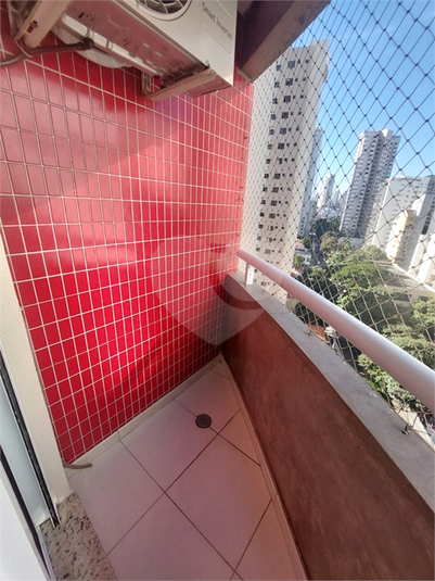 Foto REO1093674