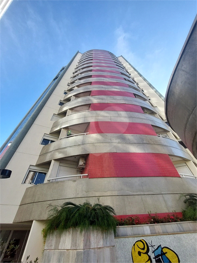 Foto REO1093674