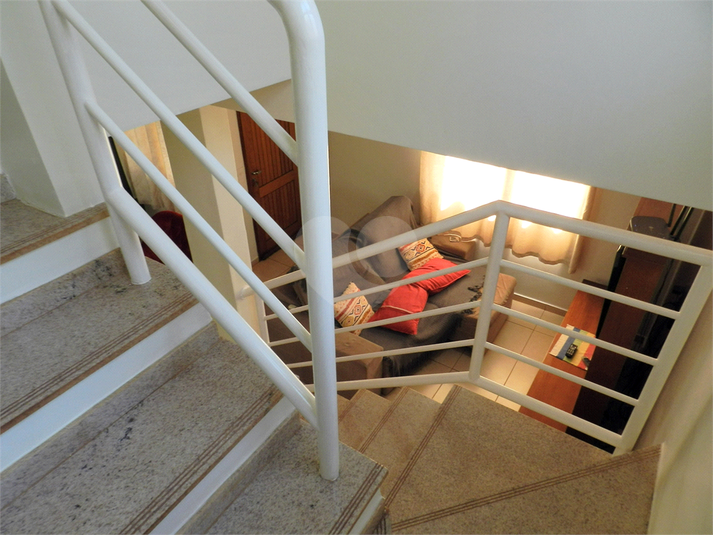 Foto REO1093675