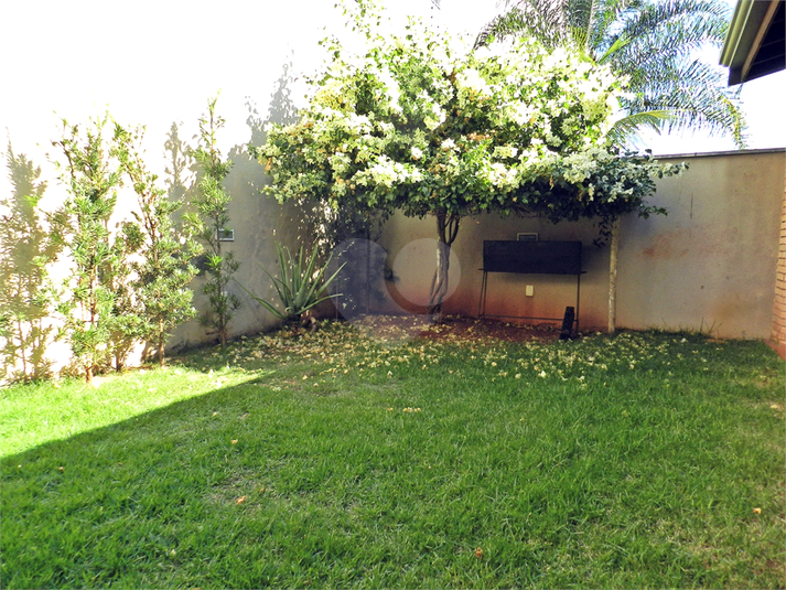 Foto REO1093675