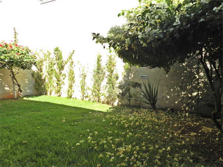 Foto REO1093675