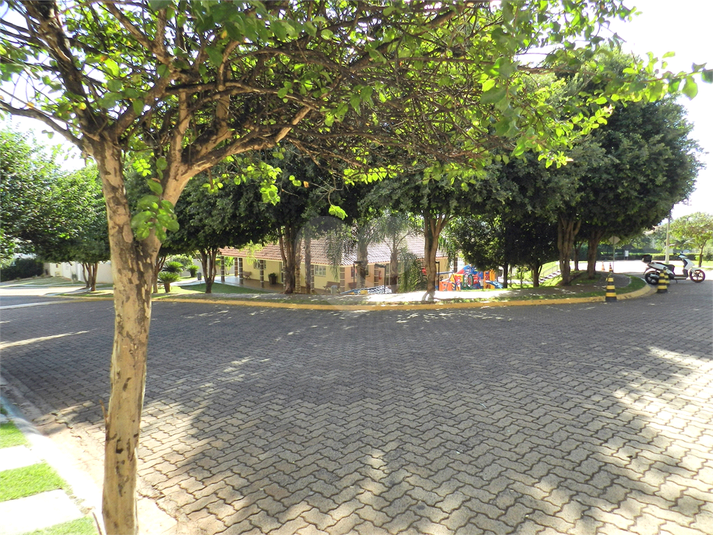 Foto REO1093675