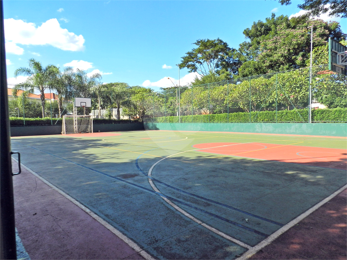 Foto REO1093675