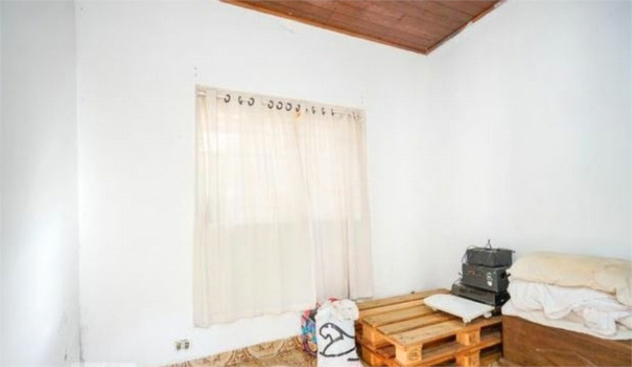 Foto REO1093682