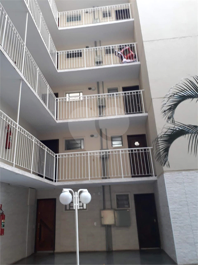 Foto REO1093685