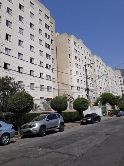 Foto REO1093685
