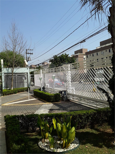 Foto REO1093685