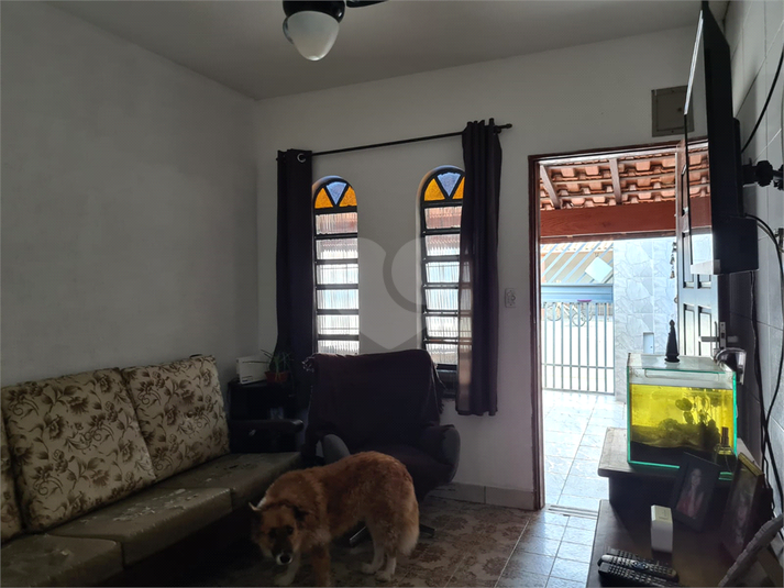 Foto REO1093691